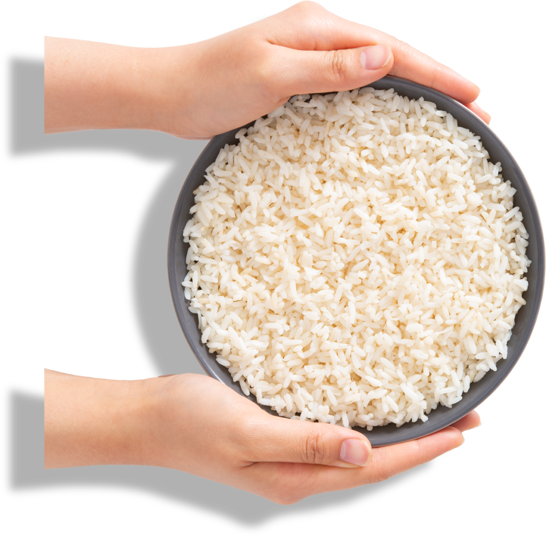 Hands holding a bowl of rice