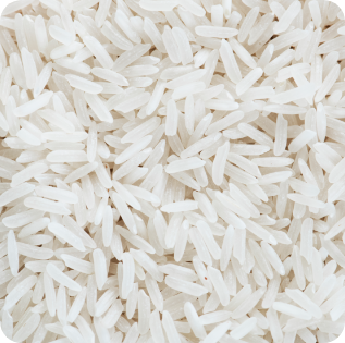 White Rice Grains