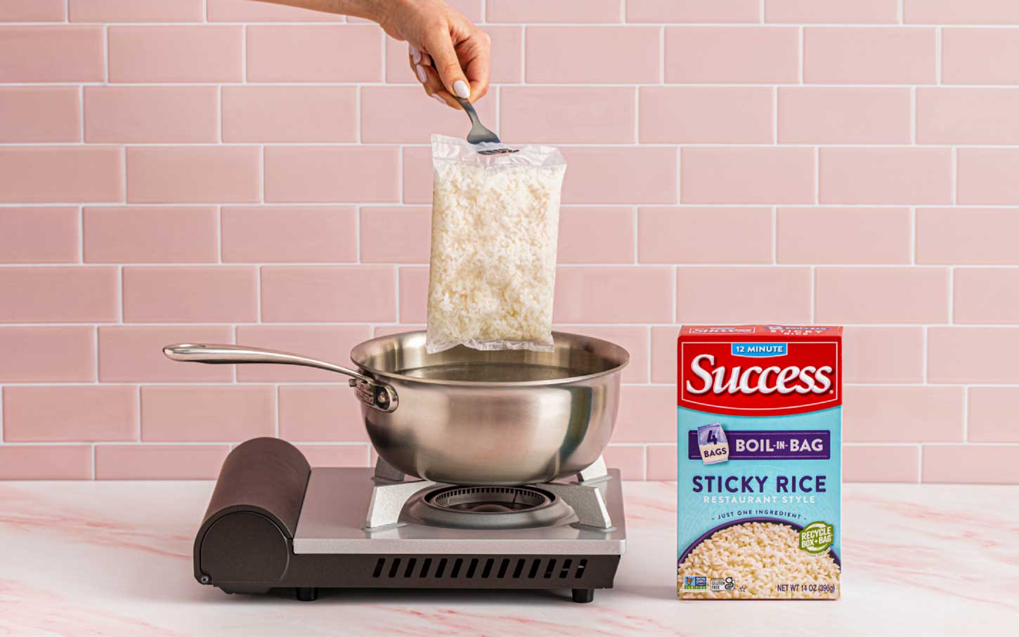 Success Ric How to Make Sticky Rice on the Stove: Tips & Recipes